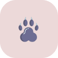 A simple, dark purple paw print icon is centered on a rounded square light pink background, perfect for representing coastal termite and pest control services with a friendly touch.